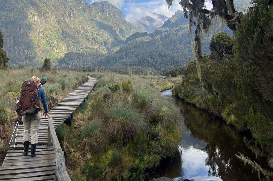 Community Tours & Nature Walks