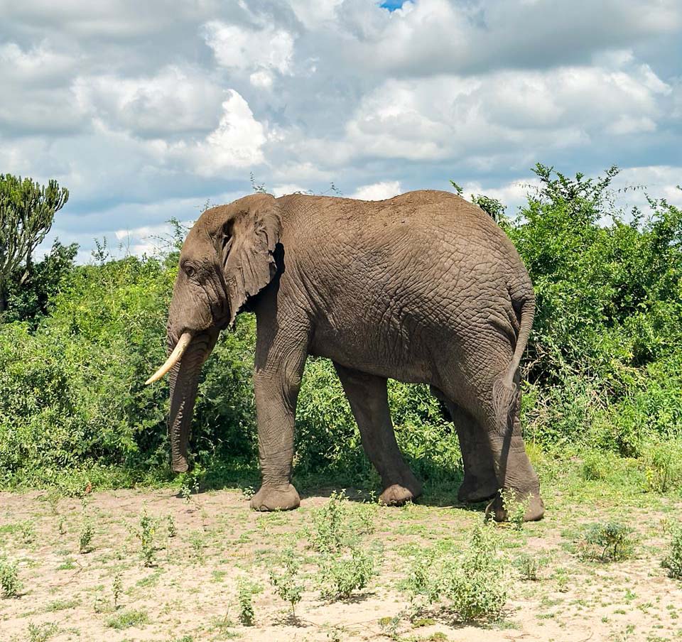 about-img